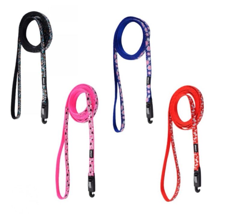 Lil Pals Leash