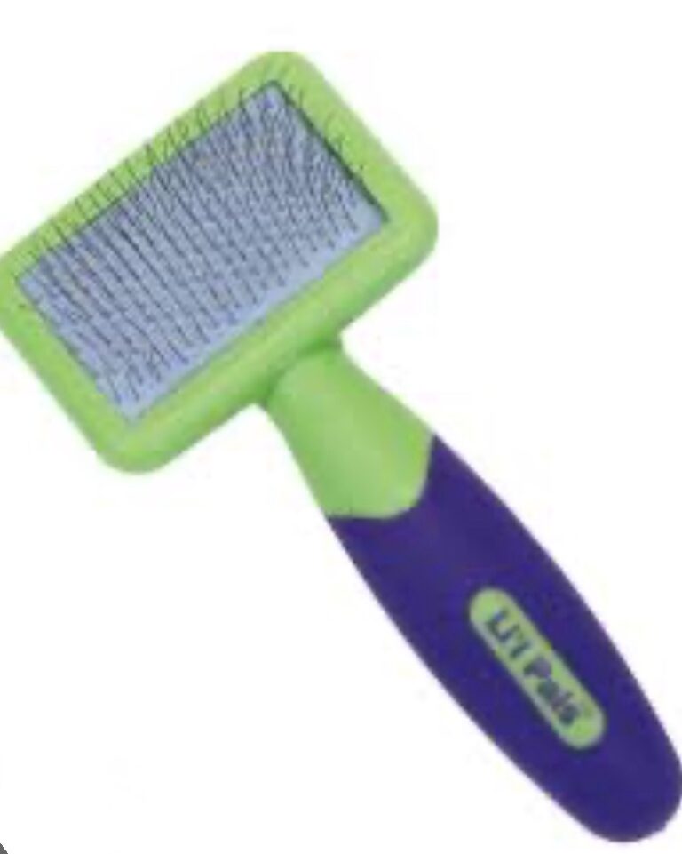 Lil Pals Slicker Brush