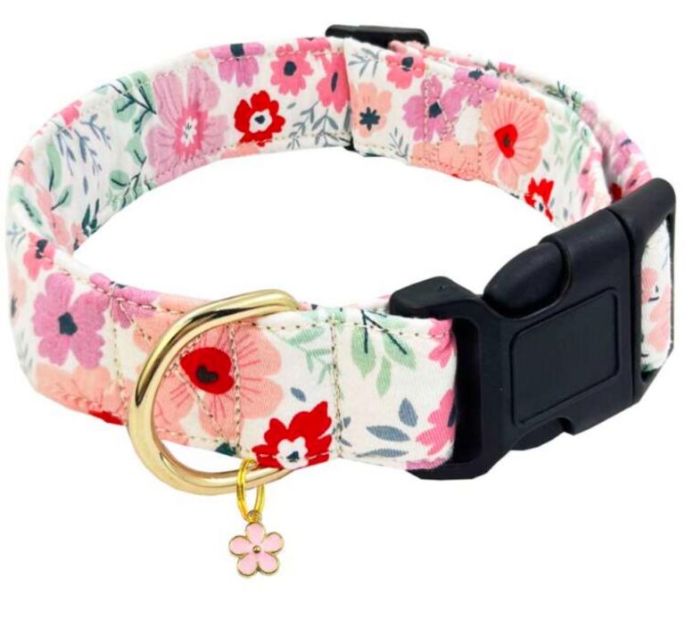 Daisy Collars (all sizes)