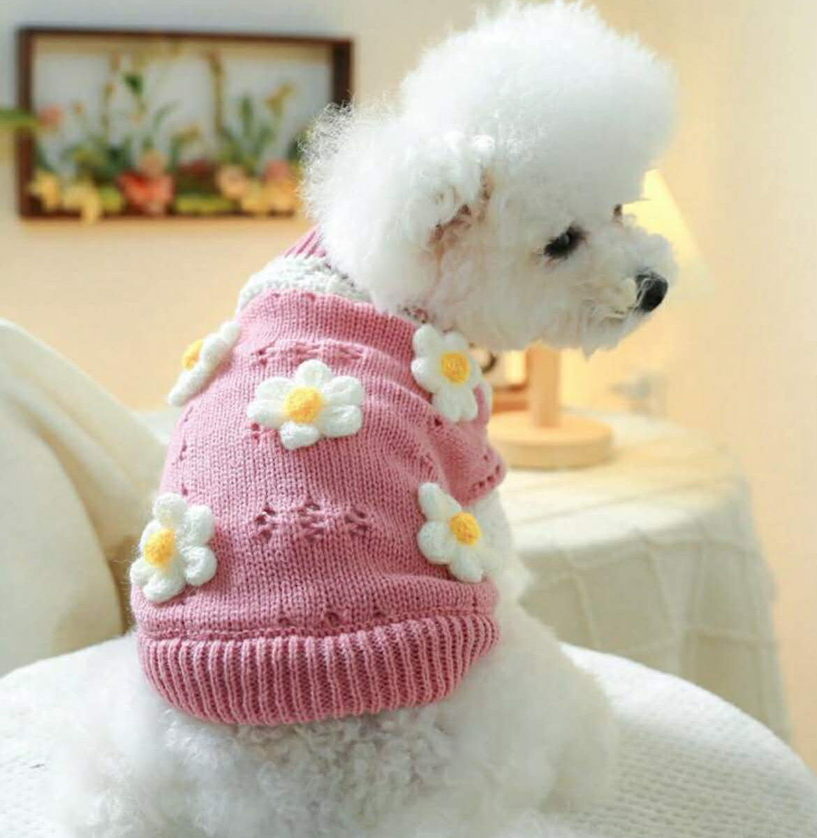 “Blossom Daisy Knit Sweater” Cozy Puppy Sweaters – Available in All Sizes! 🐾