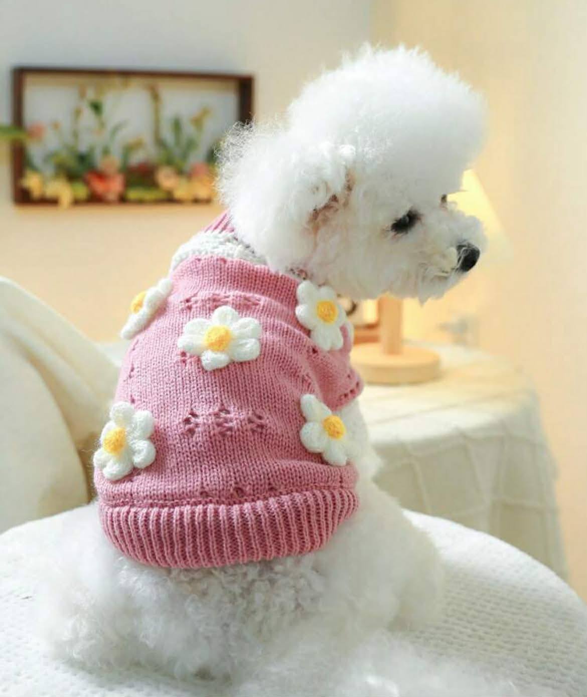 Blossom Daisy Knit Sweater” Cozy Puppy Sweaters – Available in All