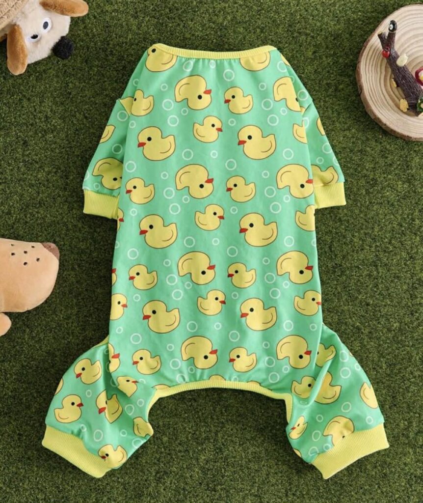 Rubber Ducky Dream Onesie – Available in All Sizes! 🐾