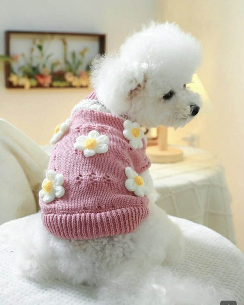Pink Daisy 3D Knit Sweater – Available in All Sizes! 🐾