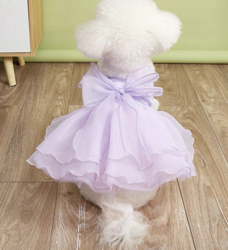 Spring and summer dress
