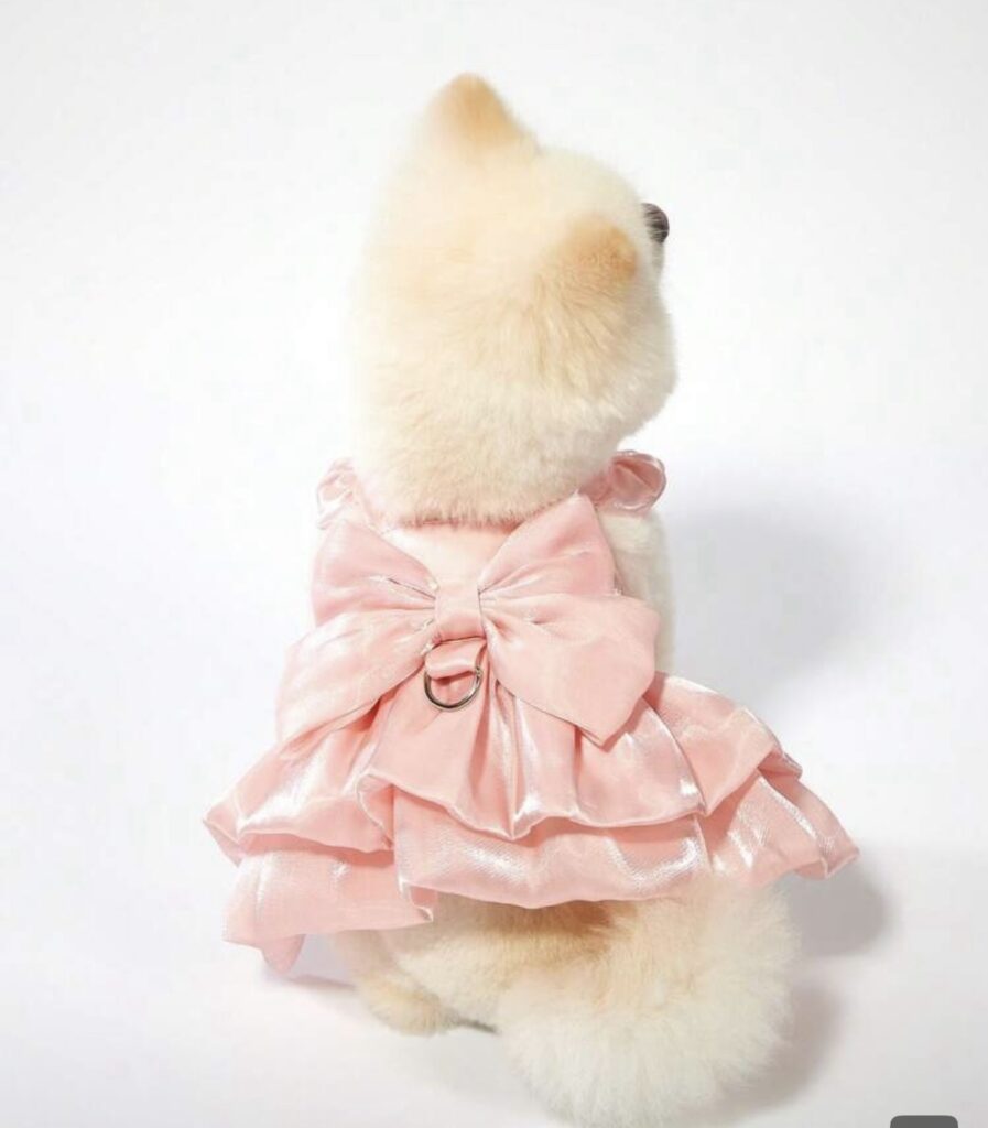 Fancy Dress
