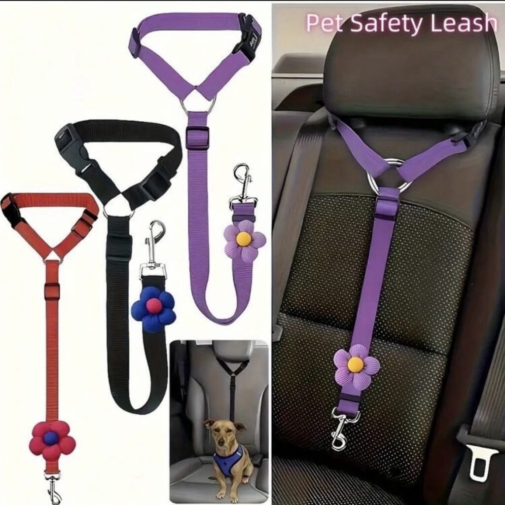 Car rest Harness